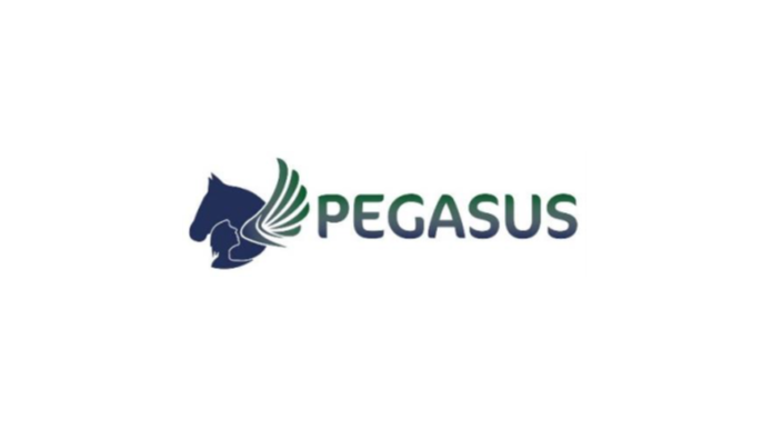 Pegasus 2 (Demo)