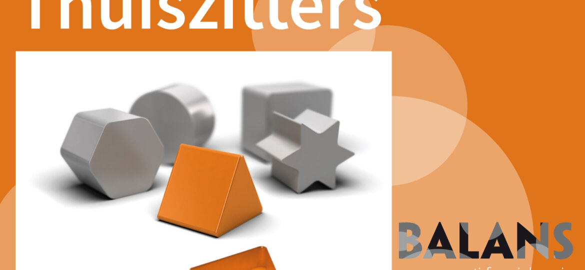 Thuiszitters logo Balans (Demo)